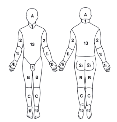 Burn Chart For Adults